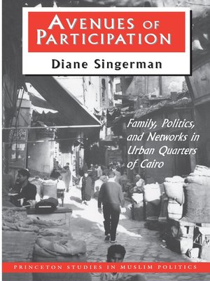 cover image of Avenues of Participation